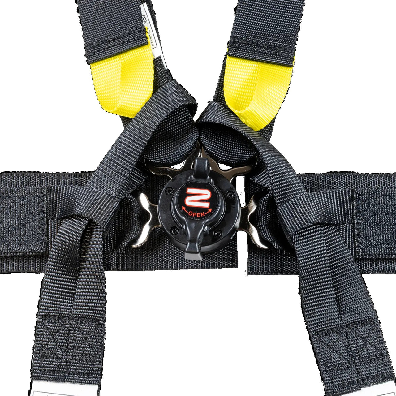 FIA 6-Point Pull Down Harness / 2" Formula Car