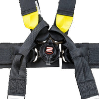 Thumbnail for FIA 6-Point Pull Down Harness / 2