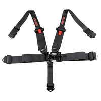 Thumbnail for SFI 5-Point Pull Down Latch-Link Harness / 2-3