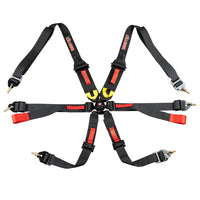 Thumbnail for FIA 6-Point Pull Down Harness Belts / 2-3