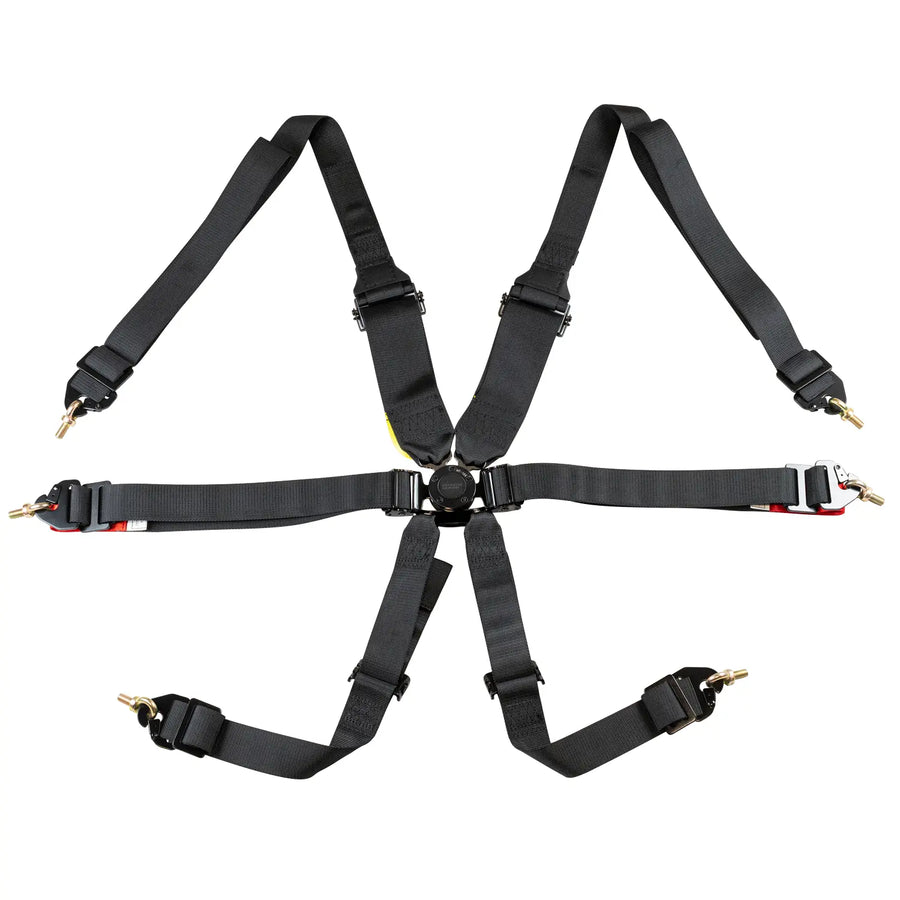 FIA 6-Point Pull Down Harness Belts / 2-3"
