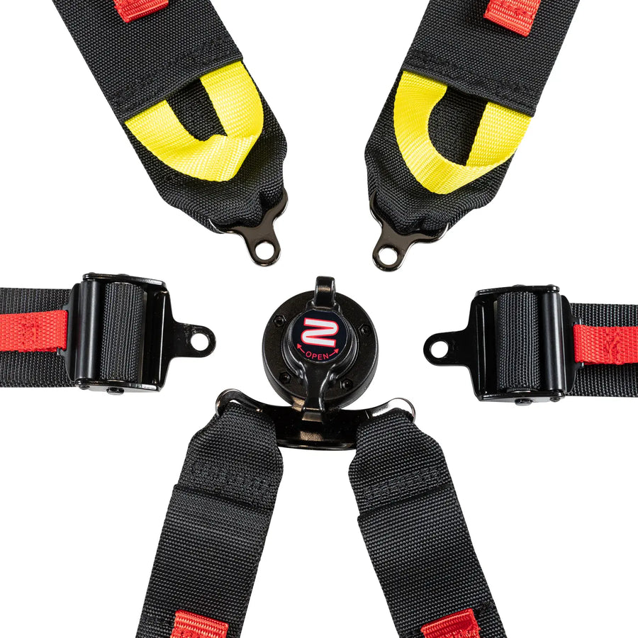 FIA 6-Point Pull Down Harness Belts / 2-3"