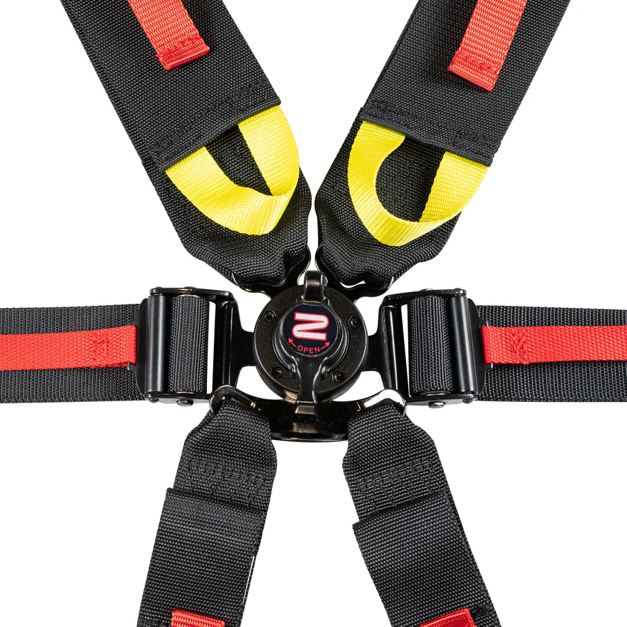 FIA 6-Point Pull Down Harness Belts / 2-3"