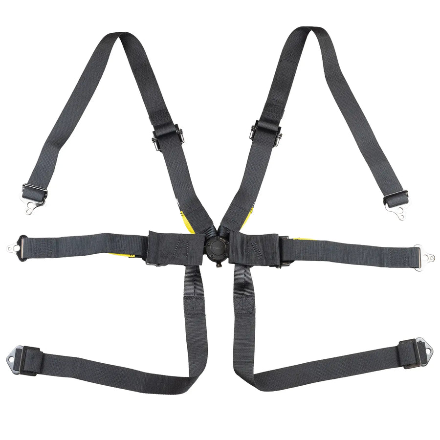 FIA 6-Point Pull Up Harness Belts / 2" Formula Car