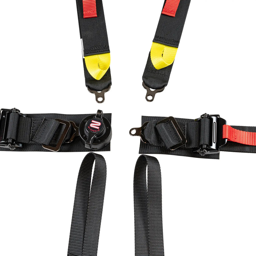 FIA 6-Point Pull Up Harness Belts / 2" Formula Car