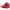 ZR-50 Race Shoes - Red